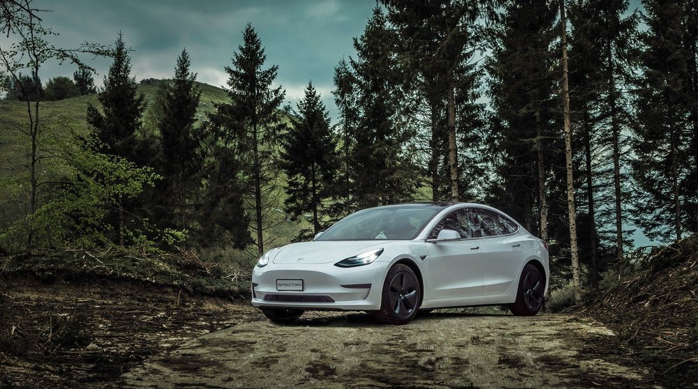 White Tesla Model 3 in a forest